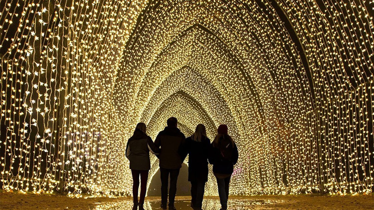 Things To Do This Weekend November 11-13, 2022